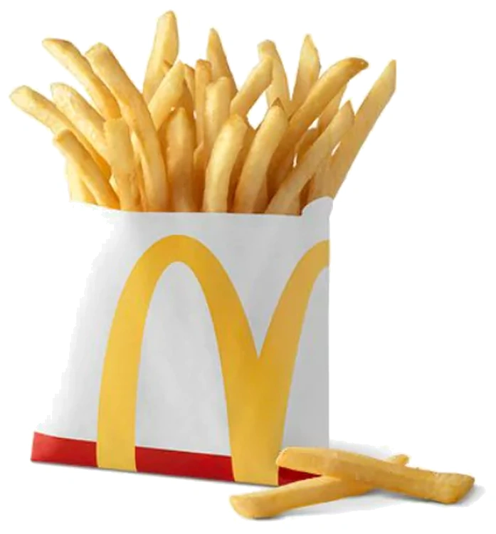Large World Famous Fries